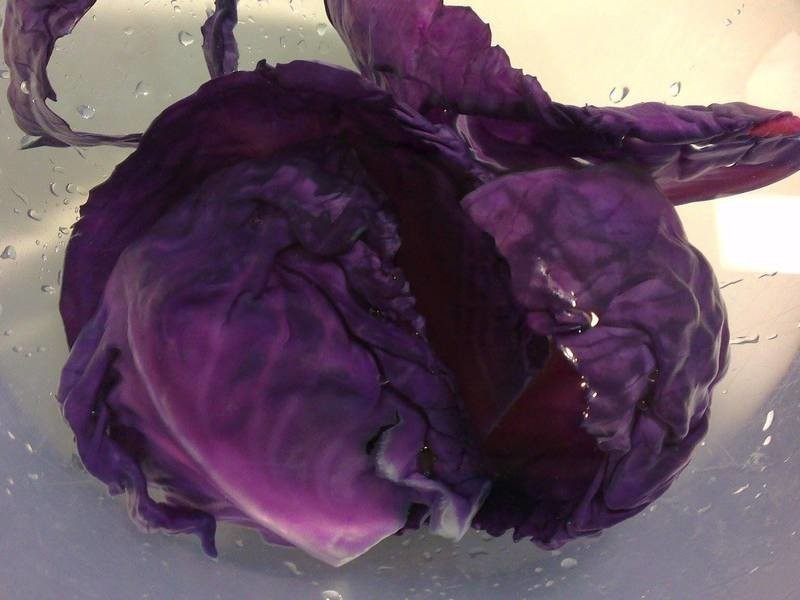 ����ɫ�ס���Ҷ������˾������