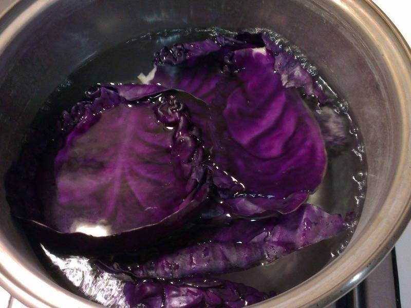 ����ɫ�ס���Ҷ������˾������