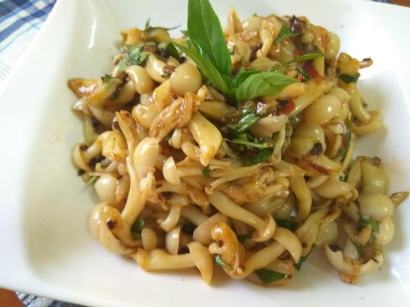 �°�ѩ�׹�ɳ��������