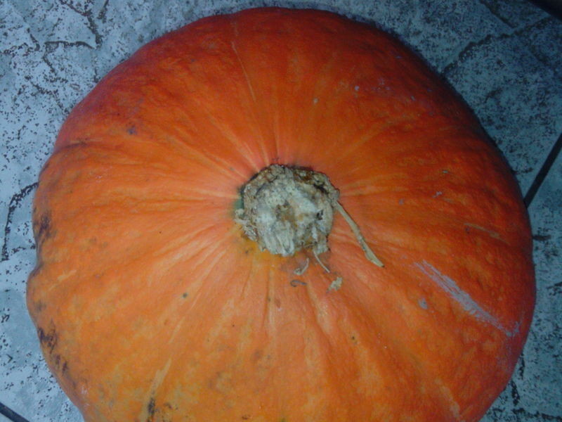 �Ϲ��������