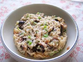 �����ʽ�����з�������