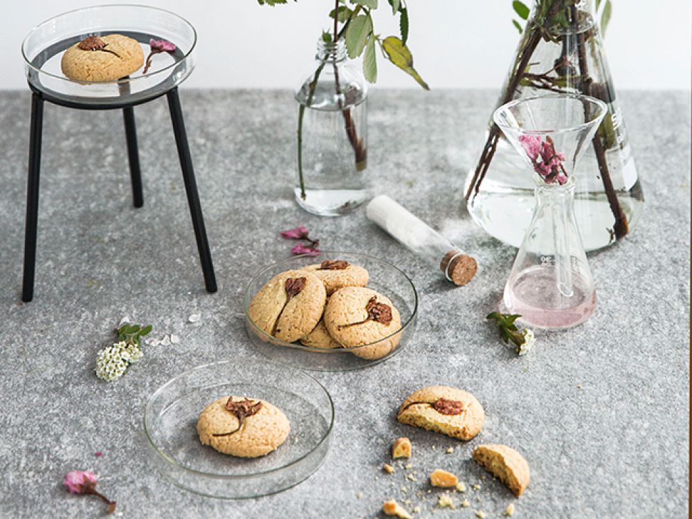 ӣ�����ͱ��ɵ�����