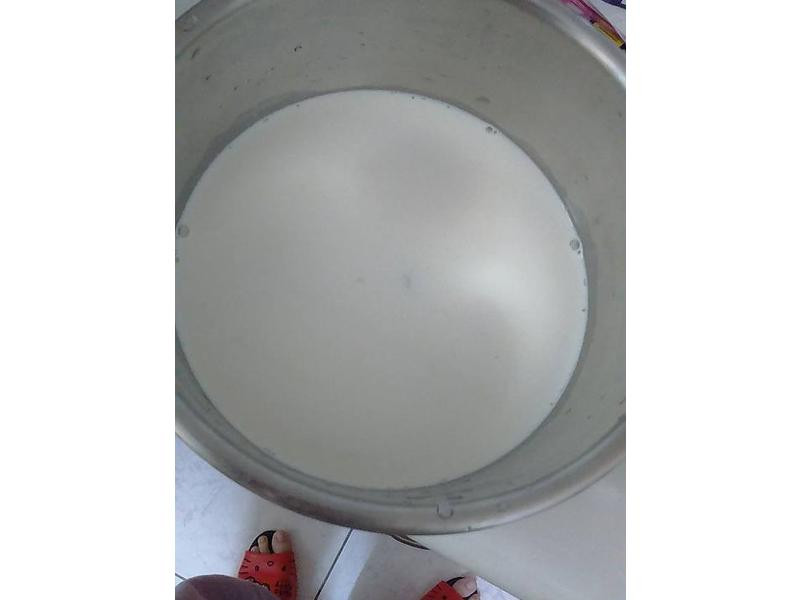 �����Ҳ���������