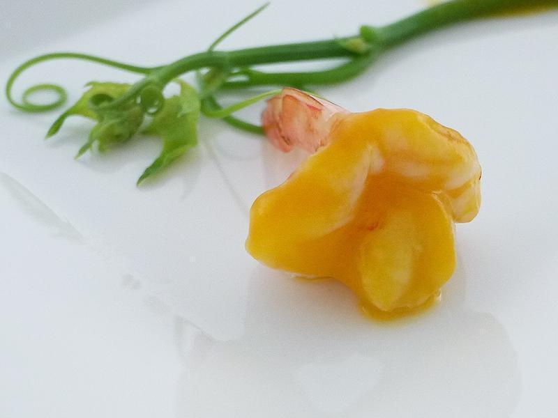 Ϻ��������˵�����