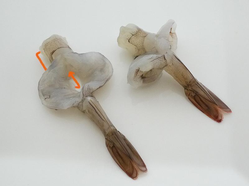 Ϻ��������˵�����