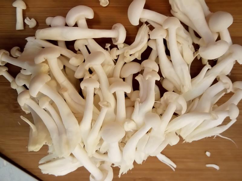 �׽������h����Ƭ������