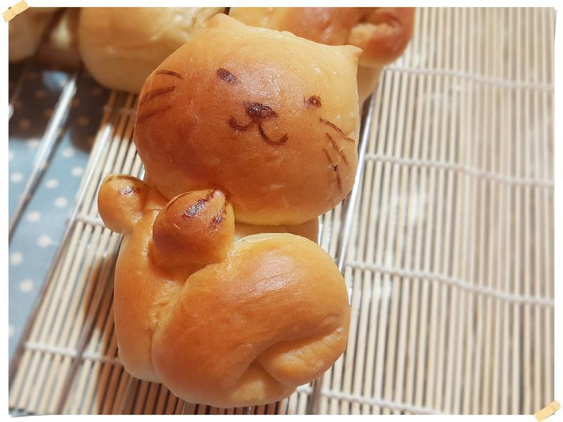 ���������&��βèС��˾(��ص��º���)������