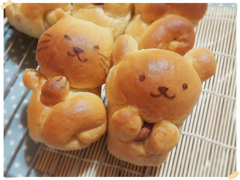 抱坚果熊熊&卷尾猫小吐司(冷藏低温后盐)的做法