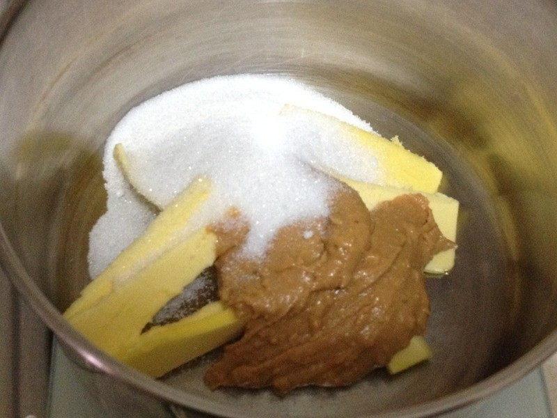 ��������(60Ƭ)������