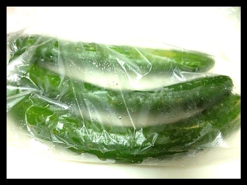 ����ˬ˳������С�ƹϡ�������