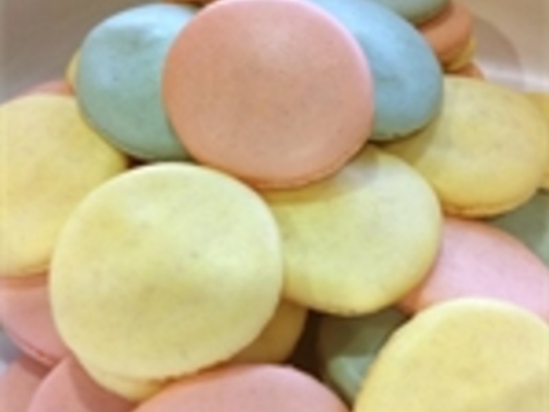 �λ�������������