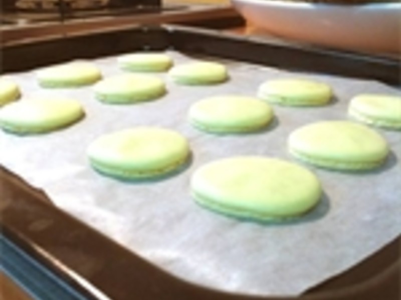 �λ�������������