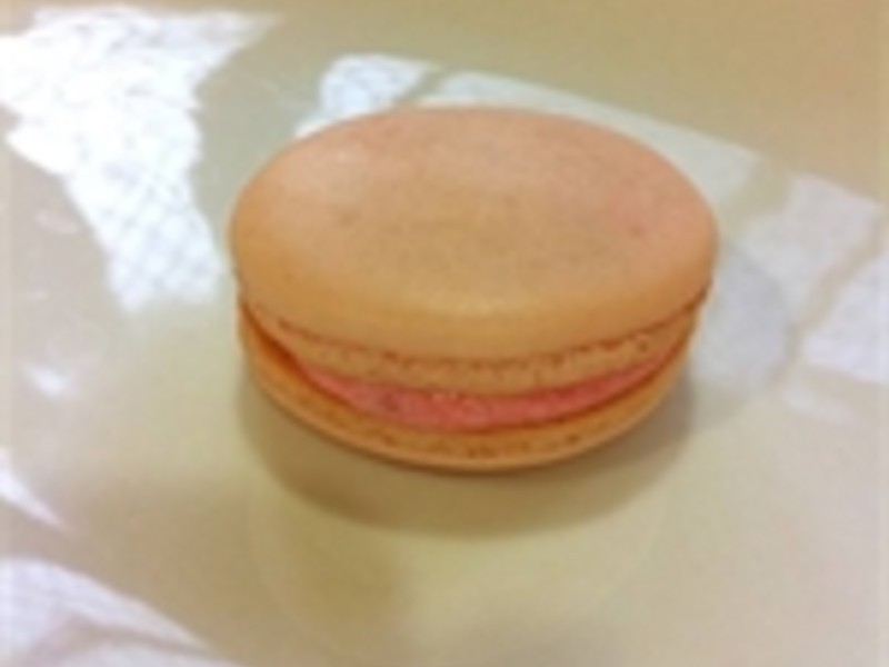 �λ�������������