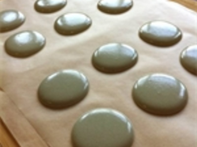 �λ�������������