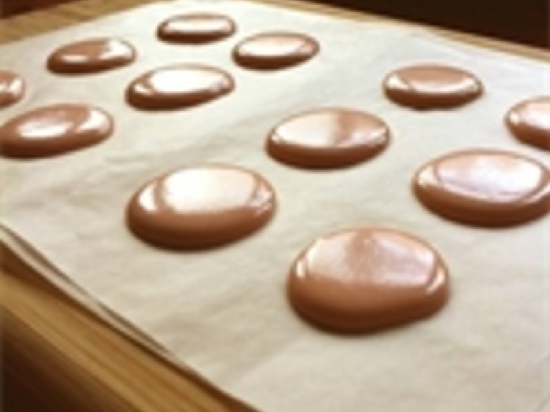 �λ�������������