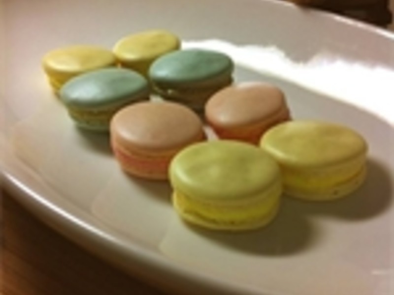 �λ�������������