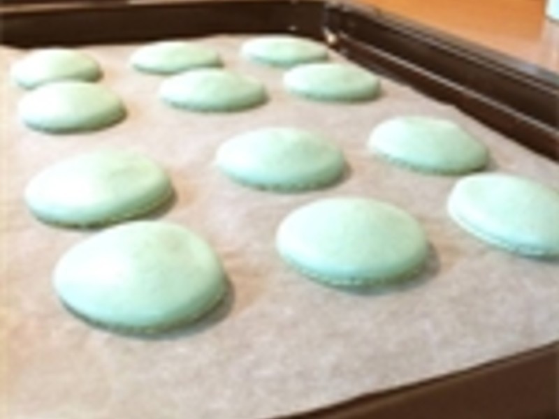 �λ�������������