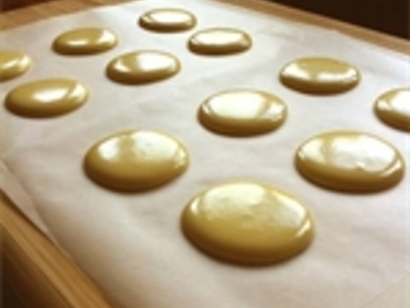 �λ�������������