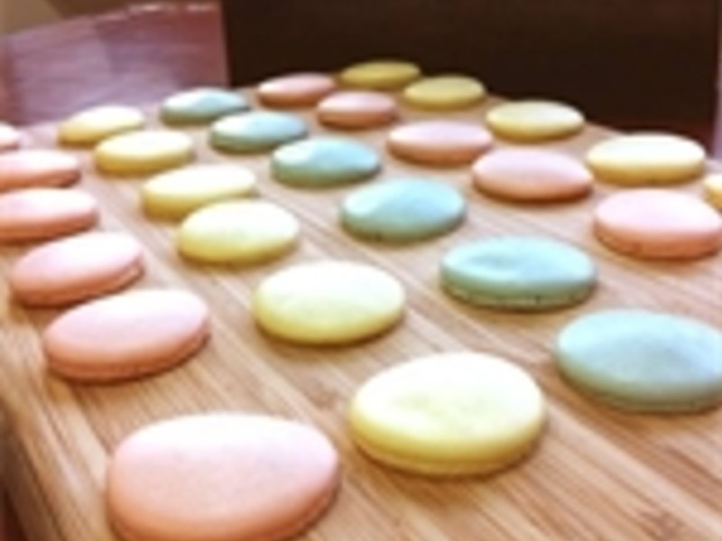 �λ�������������