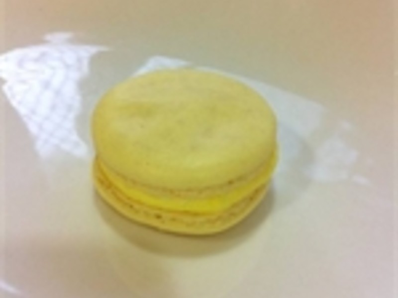 �λ�������������