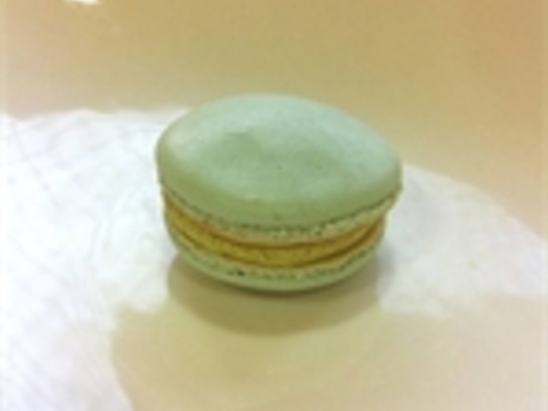 �λ�������������