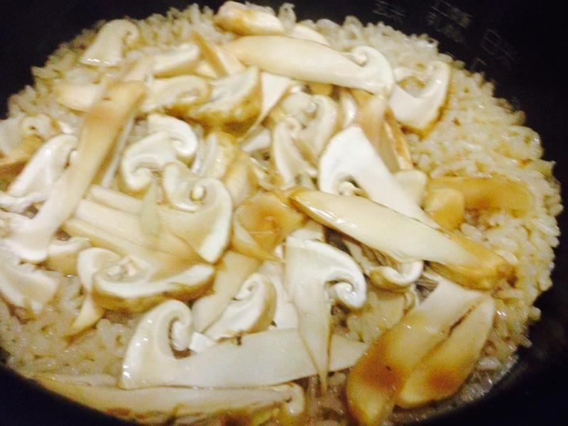 ��ʽ���״���������