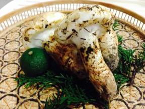 ��ʽ���״���������