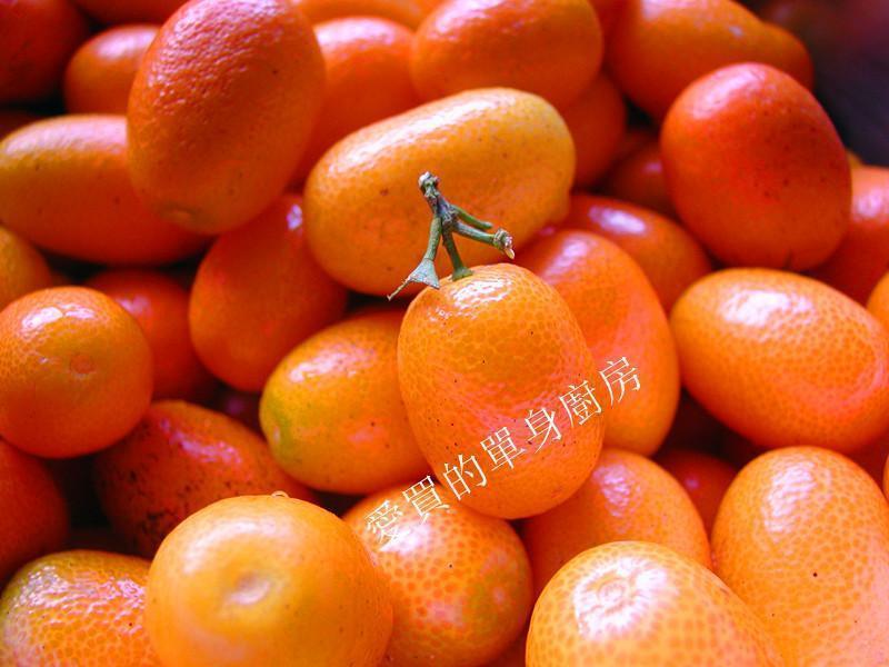 ����~�۽��������