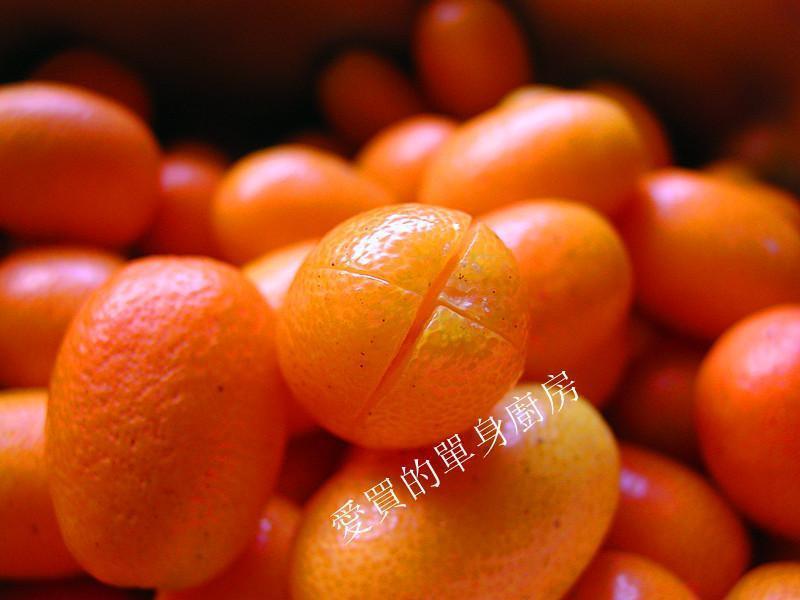 ����~�۽��������