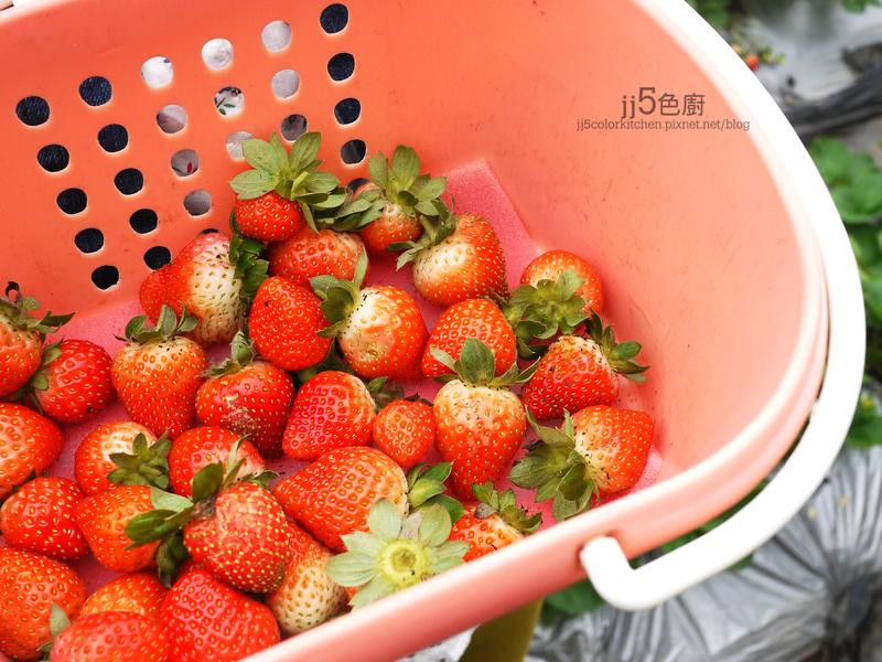 ��ݮ��������Ͳ���������