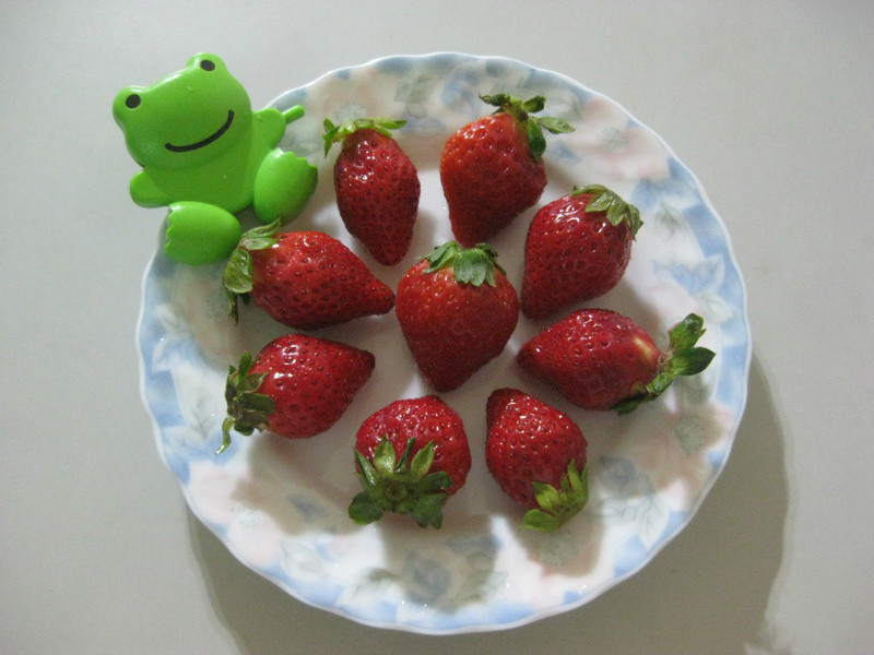 ����ݮ�Ͱ�ӥ�����̡���򵥵���ζ��������������ζ������