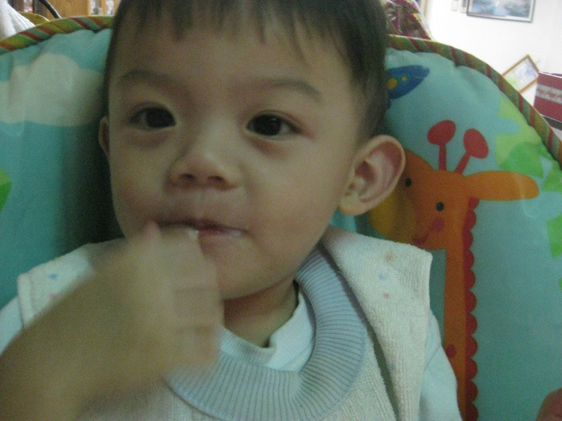 ����ݮ�Ͱ�ӥ�����̡���򵥵���ζ��������������ζ������