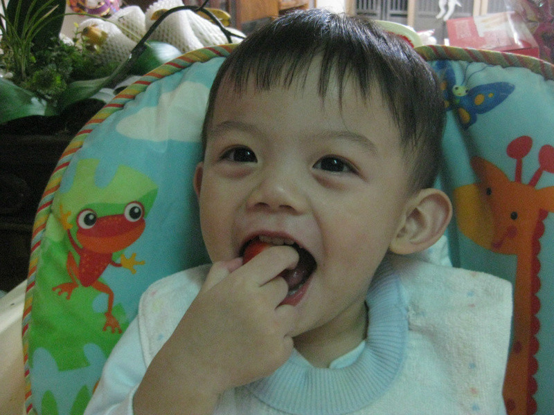 ����ݮ�Ͱ�ӥ�����̡���򵥵���ζ��������������ζ������