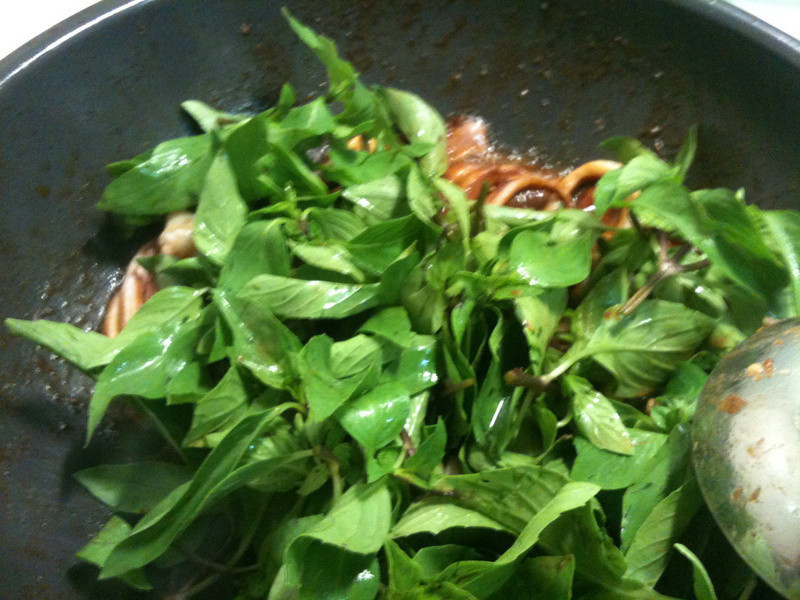 �쳴�����о�������