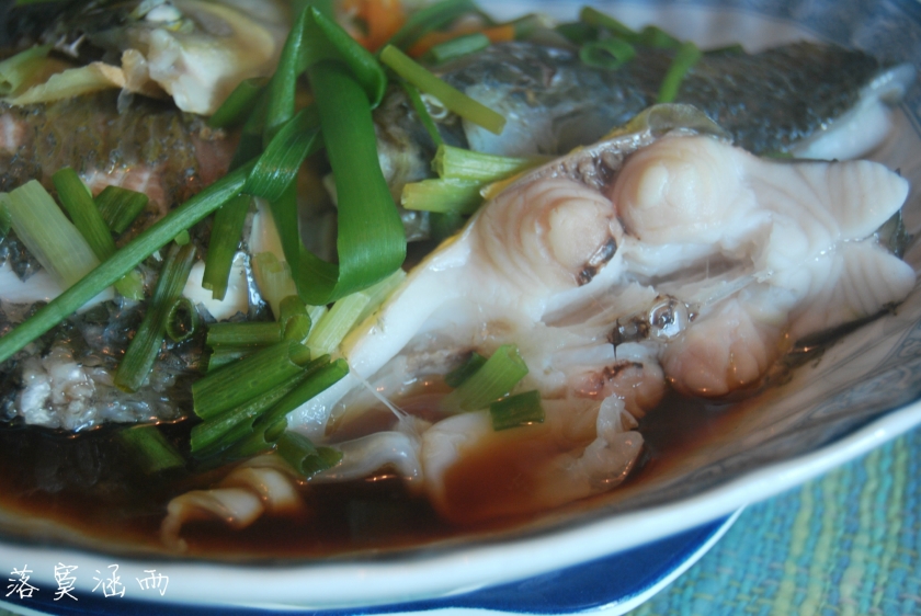 ��������ˮ����ʳ����������