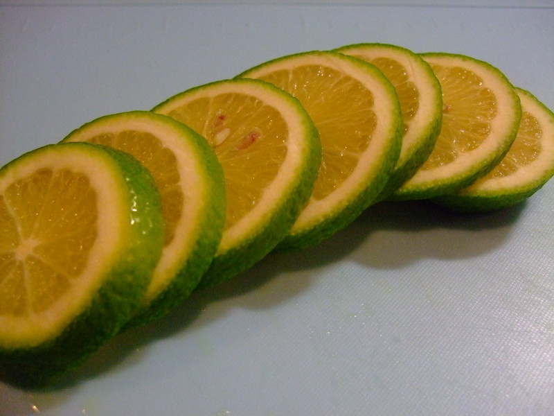 CC������~ŵ��C���ݶ�������