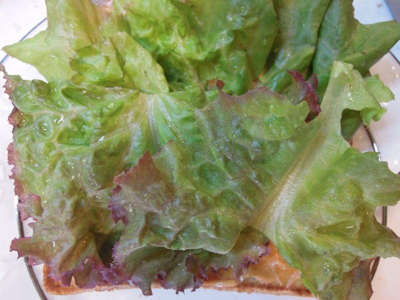 ����������Ρ�����������衿������