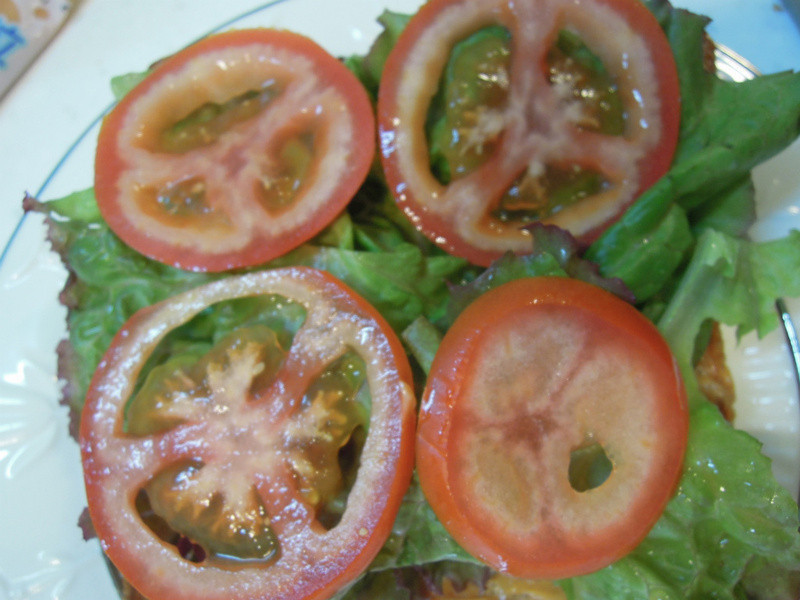 ����������Ρ�����������衿������