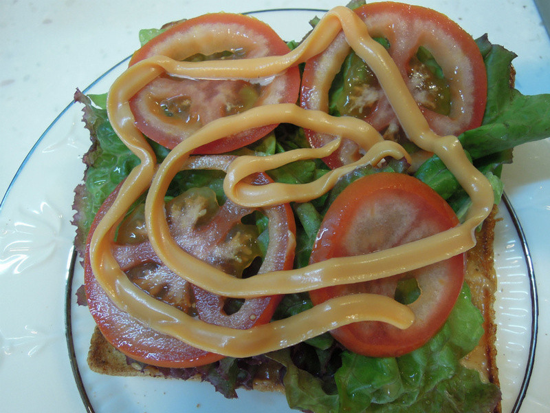 ����������Ρ�����������衿������