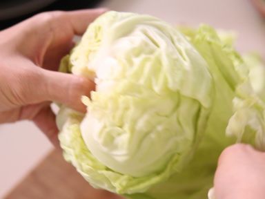 Ҭ�˺������������