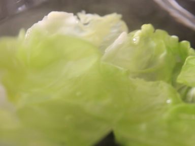 Ҭ�˺������������