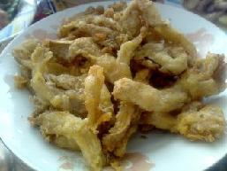 ����Ģ��������