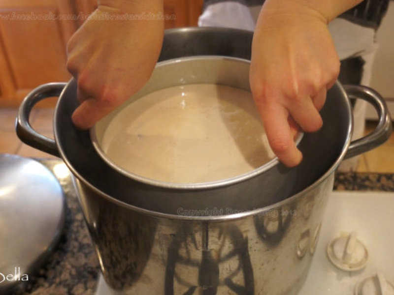 Bella���Ǽ�����-����Ҭ����������