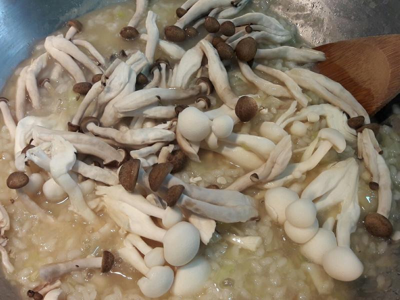 ˫���ɱ�����������