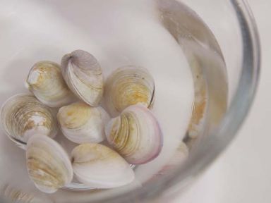 ��ˮ���ʷ�˿��������