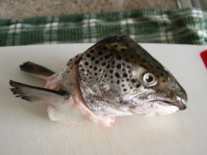 ζ�ὴ������ͷ������