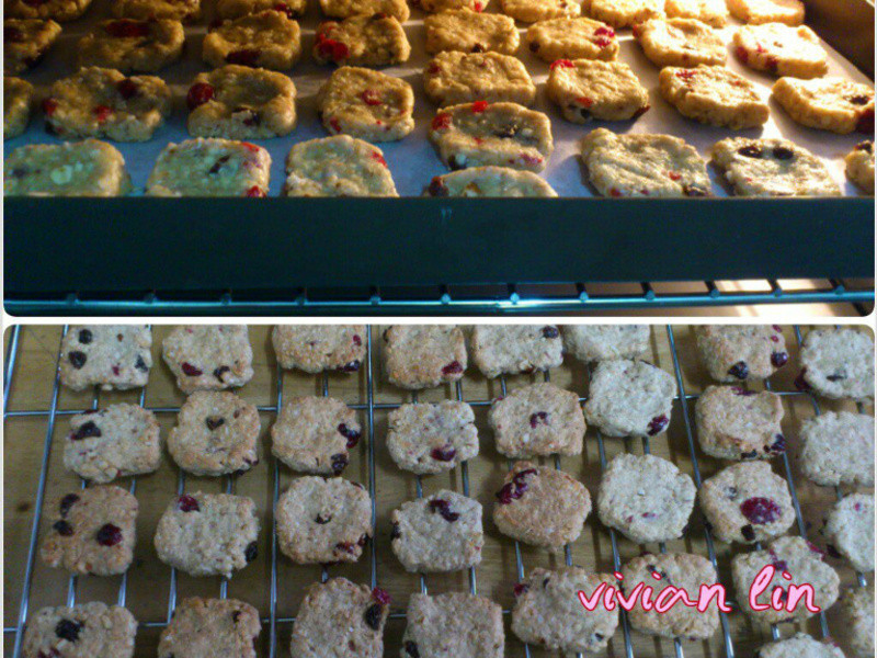 ��������������������