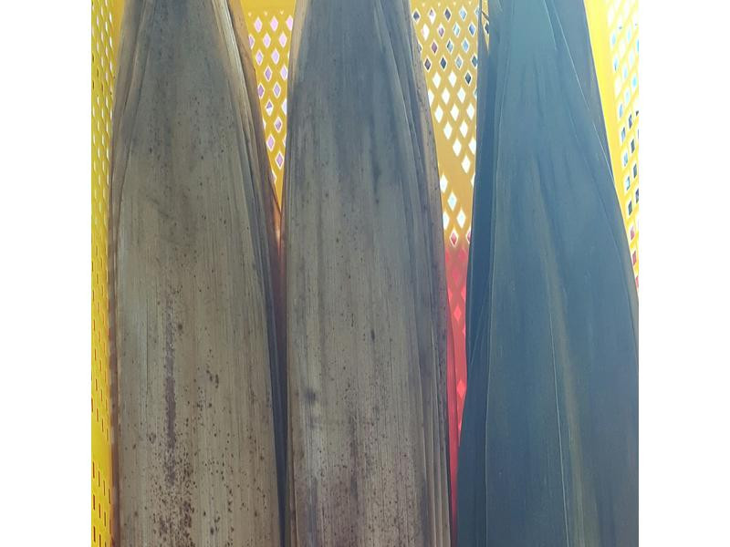 ������ӵ�����