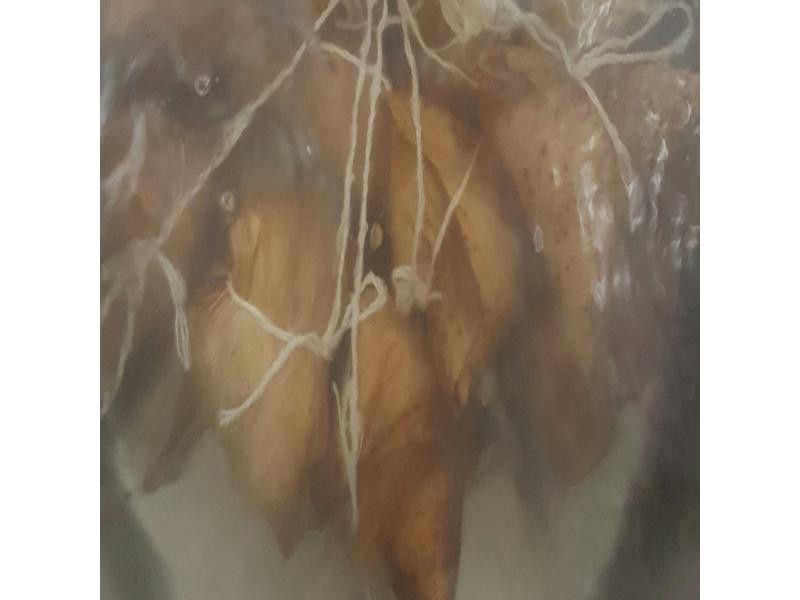 ������ӵ�����