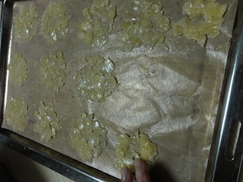 ����ζ������Ƭ������